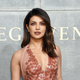 Illustration for article titled Priyanka Chopra lands coveted iCowboy Ninja Viking /irole opposite Chris Prattem/em